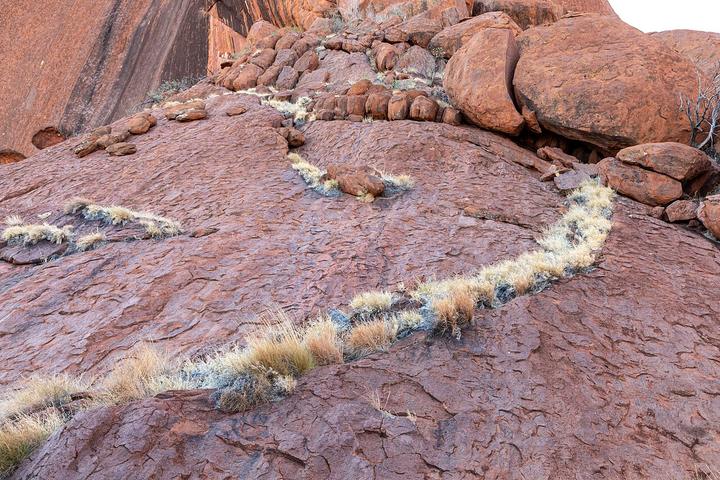 Uluru